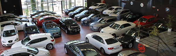Liquidación de coches no vendidos 2024